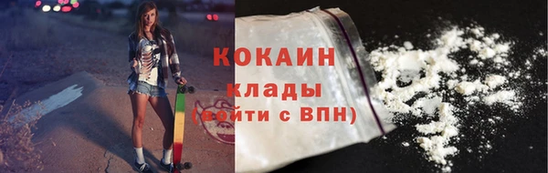 ECSTASY Алзамай