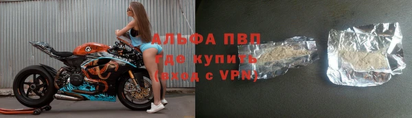 ECSTASY Алзамай