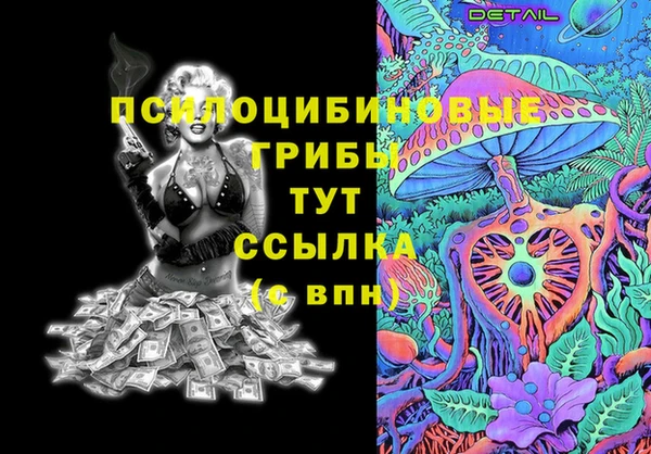 ECSTASY Алзамай