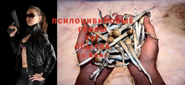 герыч Козельск