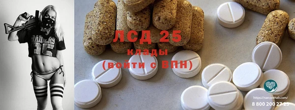 ECSTASY Алзамай