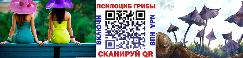 Псилоцибиновые грибы Psilocybine cubensis  Нижняя Салда 